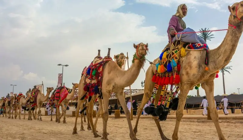 Bikaner Camel Festival Guide: Events, Desert Culture & Travel Planning Tips