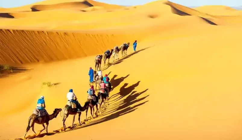 Best Desert Safari in Jaisalmer – Top Camps and Experiences