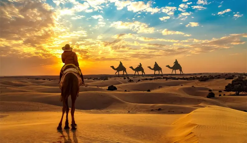 Desert Safari Adventures: Experiencing Jaisalmer and Bikaner