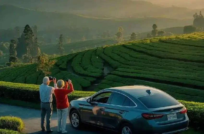Kochi to Munnar by Car with Driver: Complete Kerala Road Trip Guide for Foreign Travellers