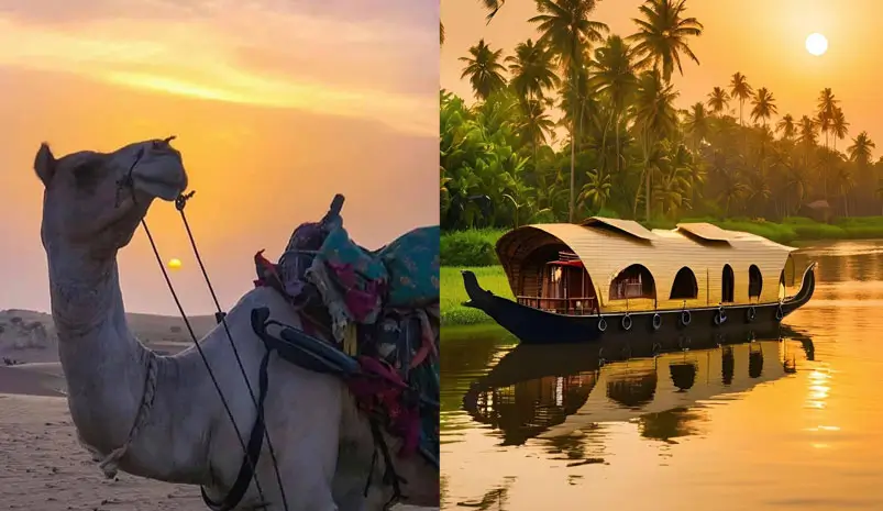Rajasthan vs Kerala – A Complete Guide to Help Foreign