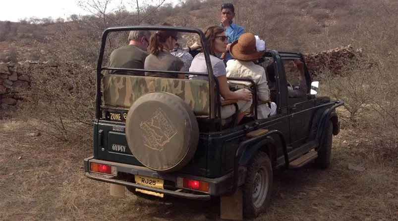 ranthambore-zone-is-actually-best-for-tiger-photography