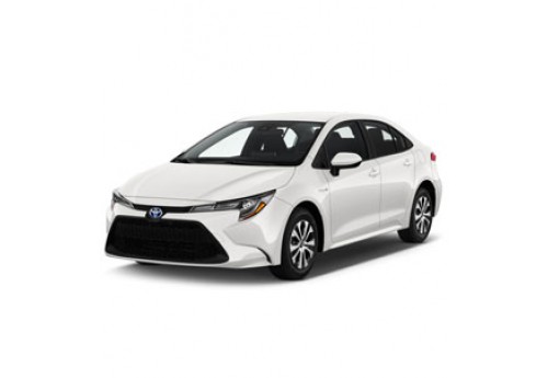 Car Rental In Jaipur