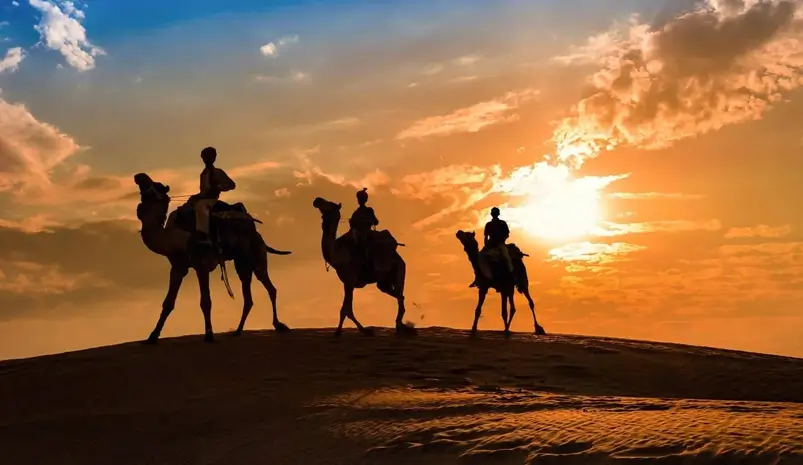Desert Safari Tour of Rajasthan – 8 Days with Boutique Camps, Camel Rides & Folk Nights