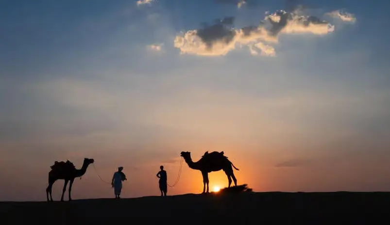Luxury Rajasthan Tour with Taj, Palaces & Desert – 12 Days Royal Journey