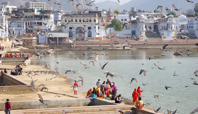 Rajasthan Experiential Tour – 14 Days Local & Cultural Journey