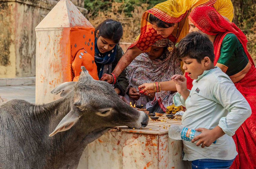 Rajasthan Senior Citizen Tour