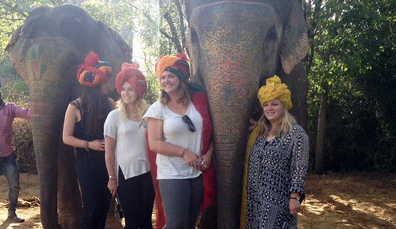 Jaipur Elephant Safari Tour